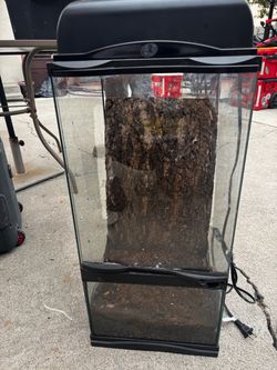 Zoo med 12x12x24 Pauldarium