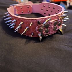 Dog Collar 