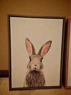 Framed Rabbit Canvas Wall Art