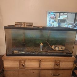 55 Gallon Fish Tank With Dresser 