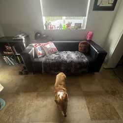 Black Leather Loveseat Couch