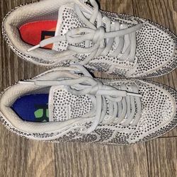 Nike x Cactus plant low dunks