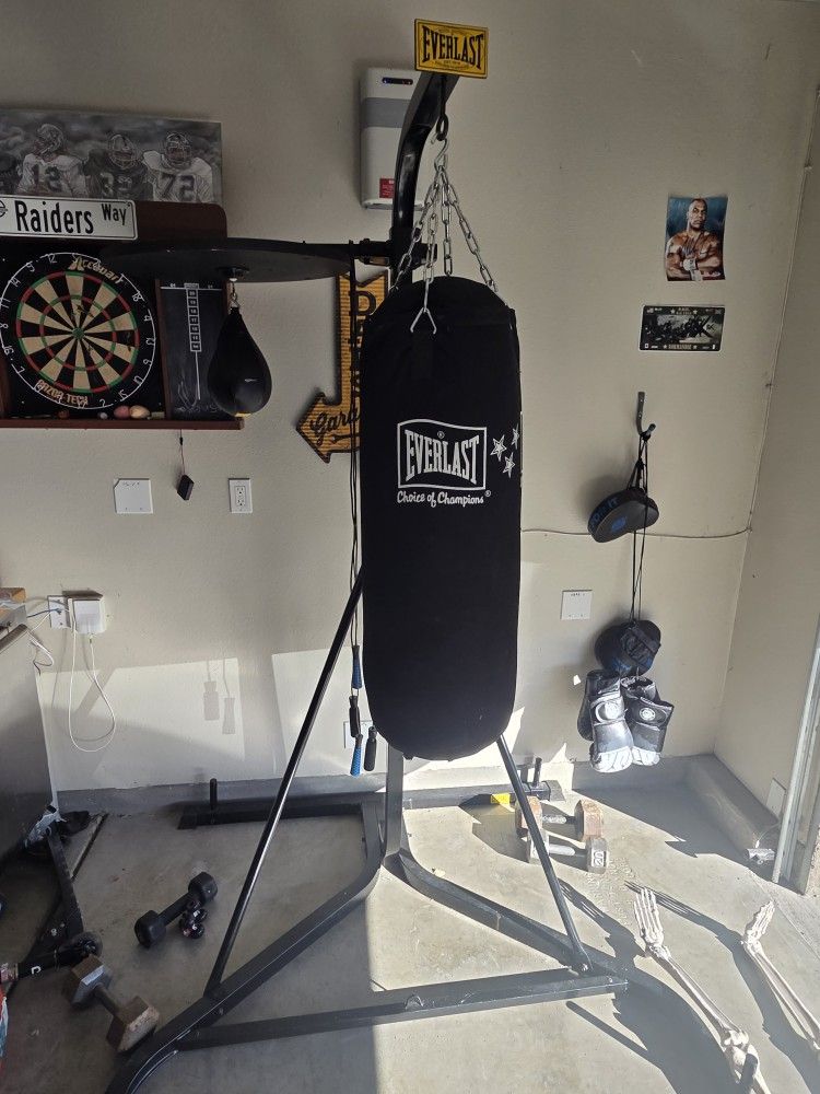 Everlast Dual 2 Station Punching Bag