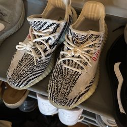 Yeezy Boost Zebra Size 8.5