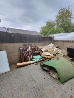 Same Day Removal