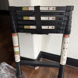 SPIEEK Telescoping Ladder