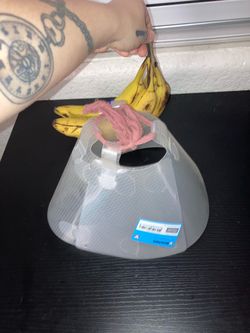 3 Small Pet Cones