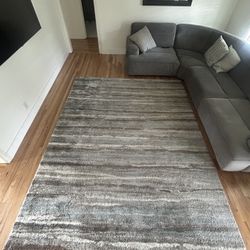 Area Rug 