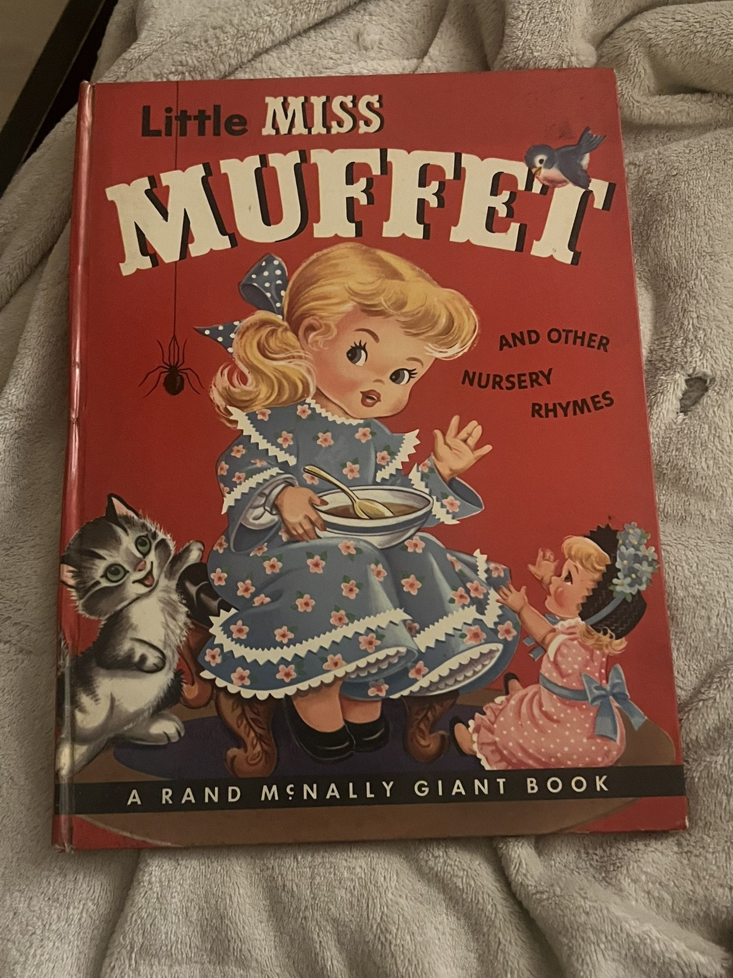 Antique Book Collection