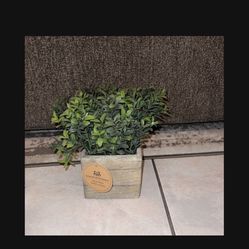 Artificial Plant New