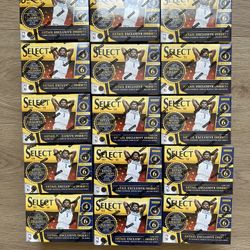 20-21 Panini Select Basketball Blaster Box