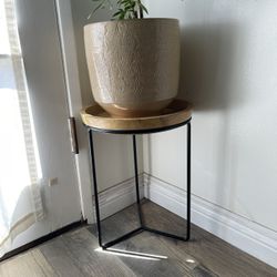 Two Iron And Wood Plant Stands 