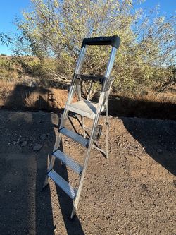 Cosco ladder