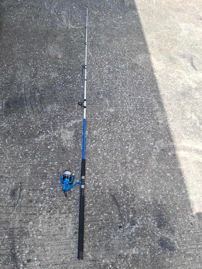 Fishing Pole 9ft Great Shape