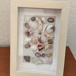 Sea shell art handmade, hand collected shells