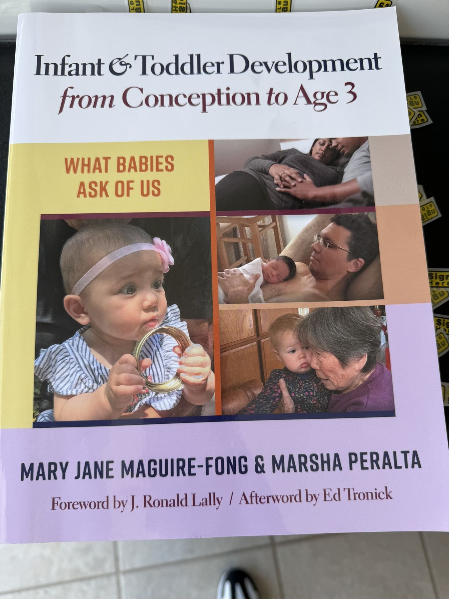 From Conception To Age 3