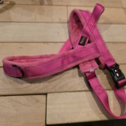 Dog Harness