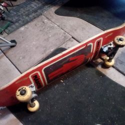 Freestyle Skateboard 