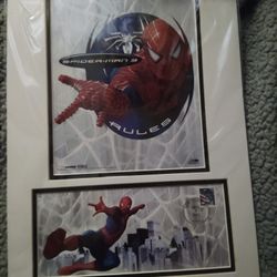 Spiderman Rules Matted Art