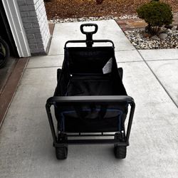 Folding Wagon 
