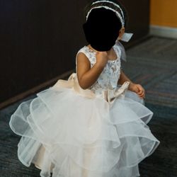 Toddler Birthday/ Flower Girl Dress