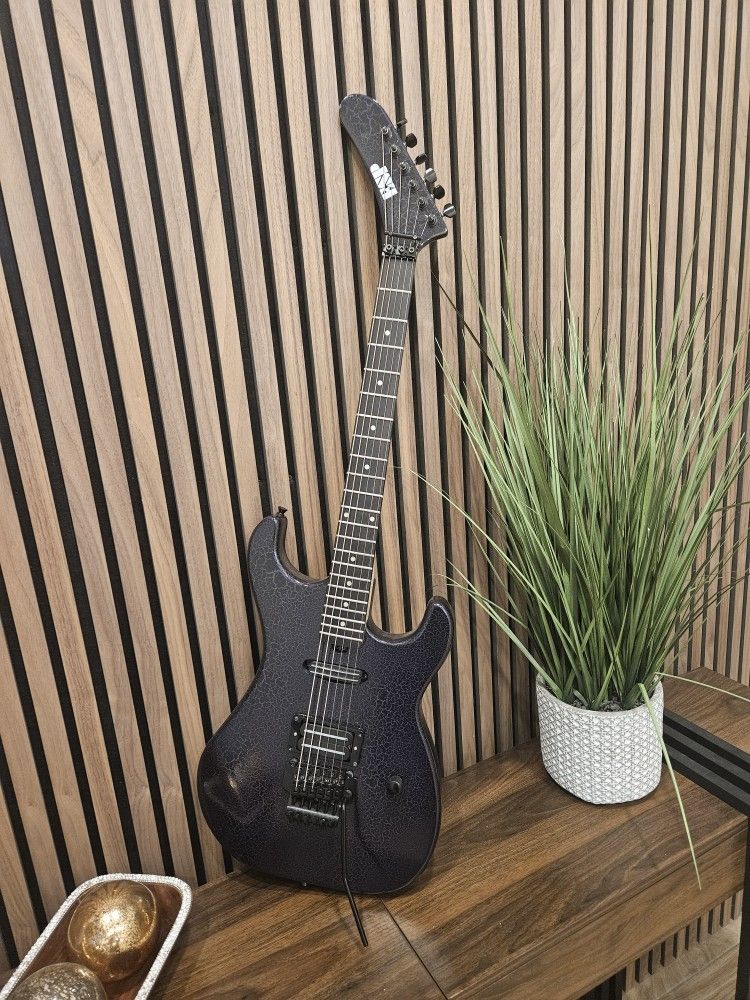 ESP Guitar