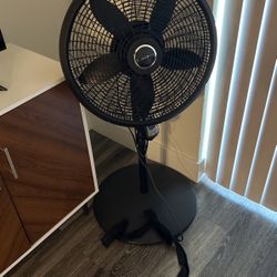 Fan
