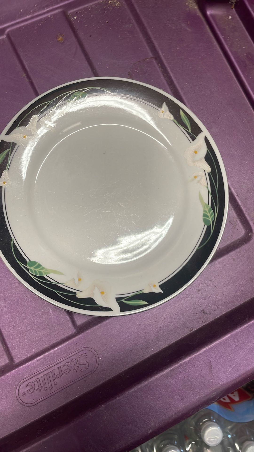 Majesty Dishware Set