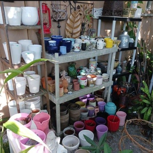 House Plant Pots