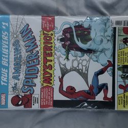 Spider Man Comic 