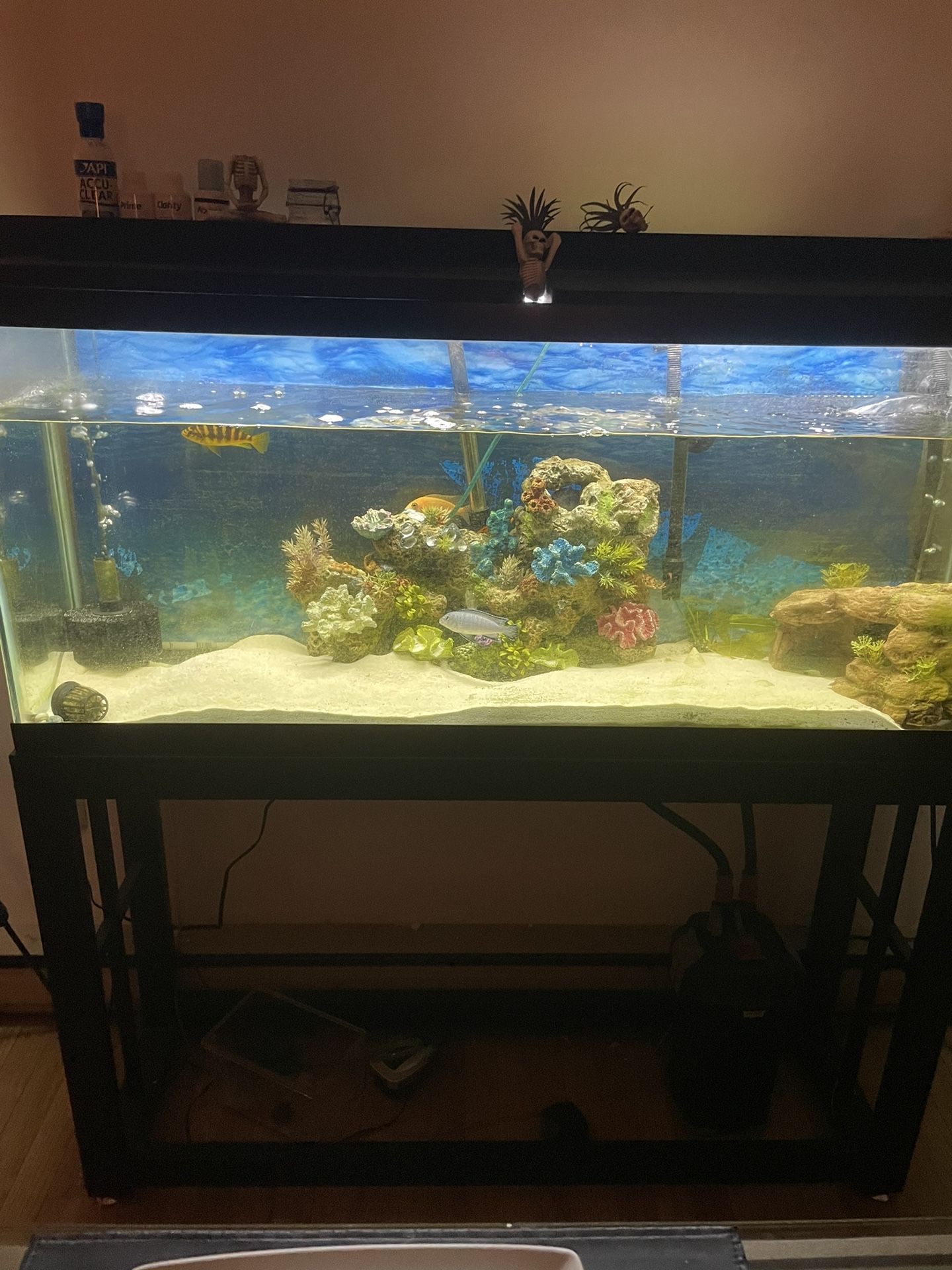 50inch Fish Tank With Stand