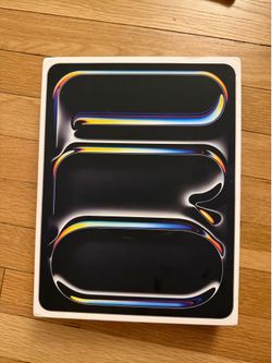 iPad Pro M4 256 GB 13 in, gray