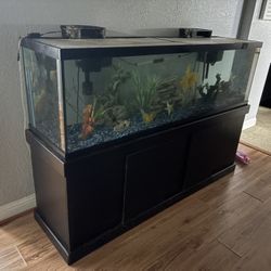 Fish Tanks For Sale 