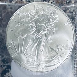Silver Eagle w/Star Privy Mark