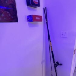 Penn Reel With Big Water Ugly Stick In Perfect Conditions Used Twice 