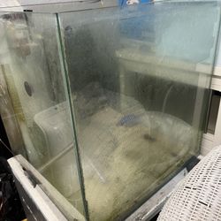 50 Gallon Cube Fish Tank