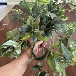 Free Faux Plant