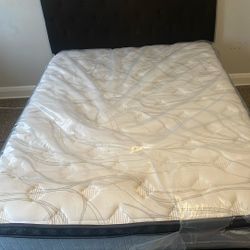Looking For A Bed Frame Or Bed ? 