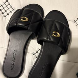 coach sandals 