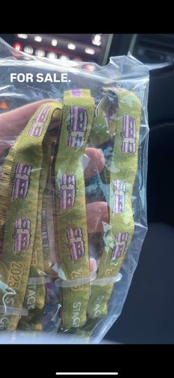 Stagecoach RV Wristband