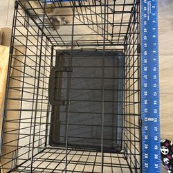 Dog Crate 