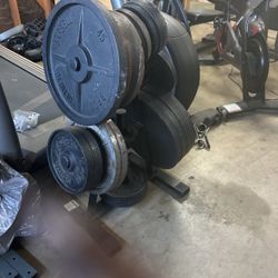 Squat Rack With Bench,weights And Olympic Bar