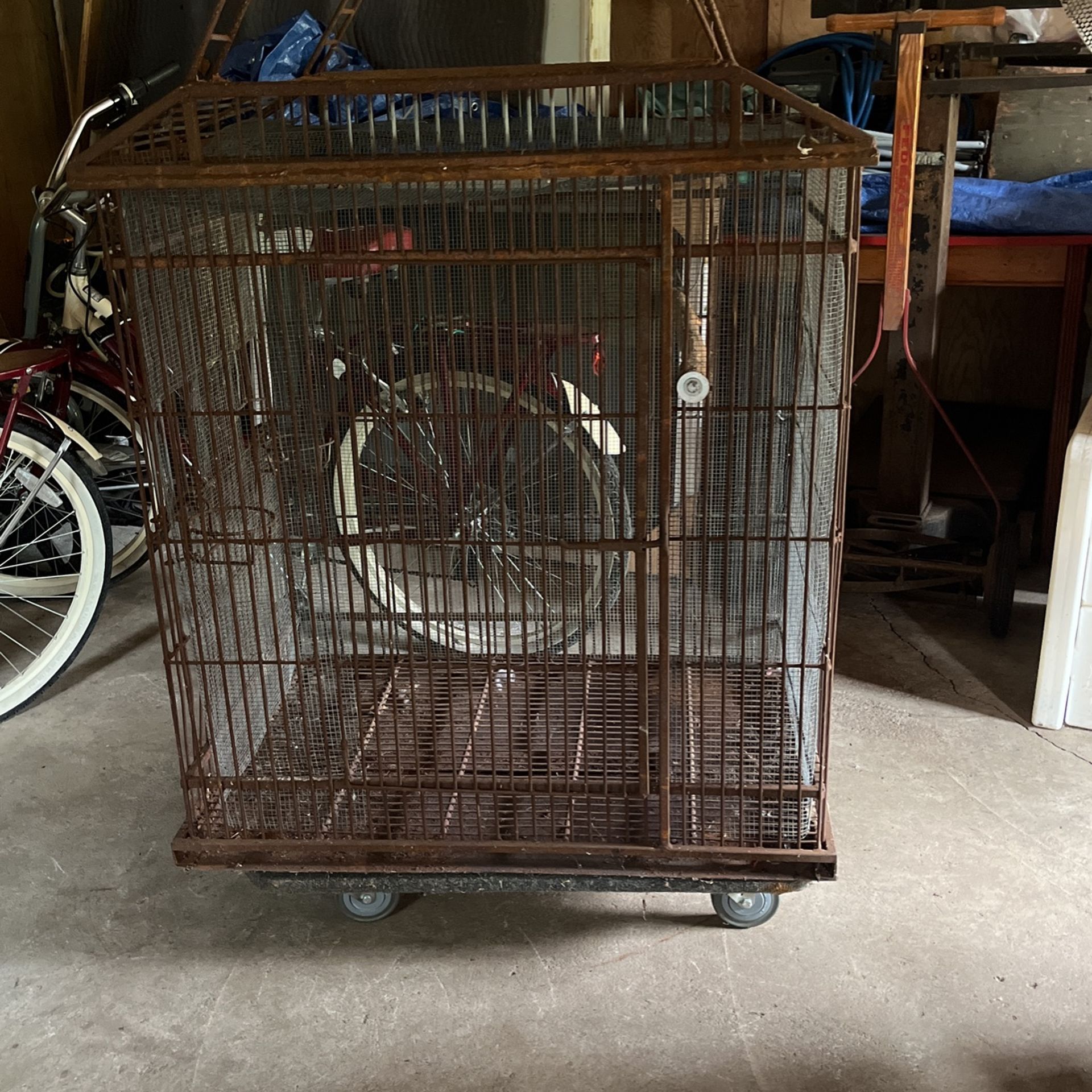 Vintage Tropical Bird Cage