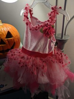 Fairy Costume size 3t