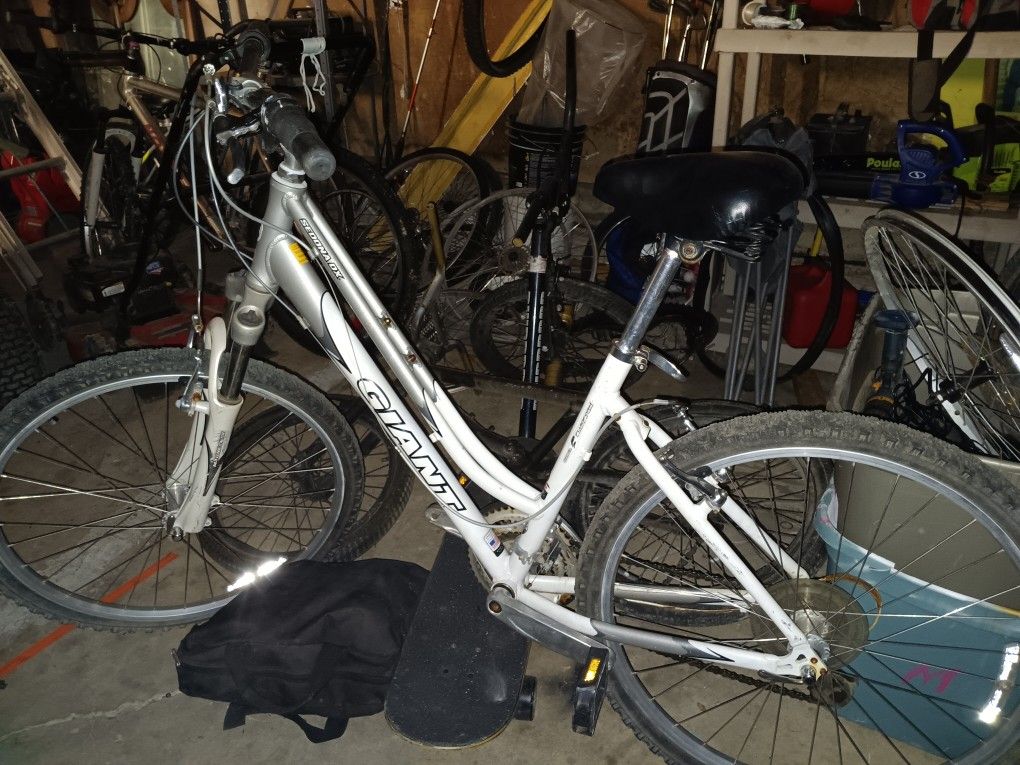 Giant Ladies Bicycle