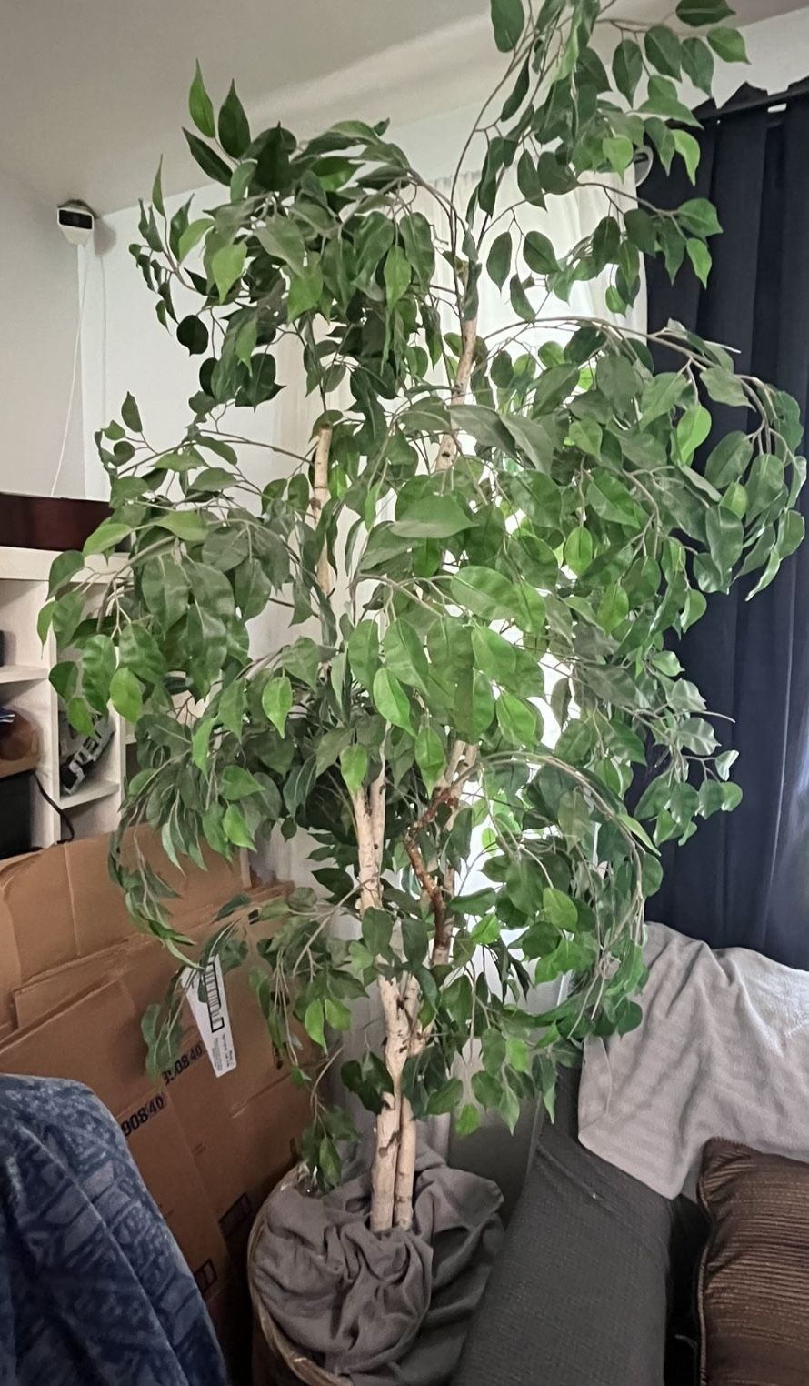 Fake Indoor Tree