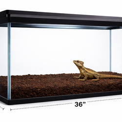 36”x18”x17” Aquarium / Terrarium for Sale – Great Condition