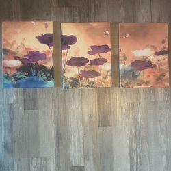 Set of 3 pictures!