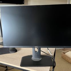 Dell 24” Monitor