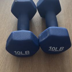 2- 10 Pound Weights